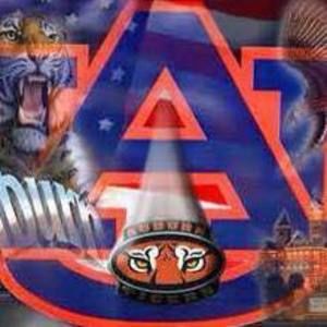 Meet your Posher, Rocki